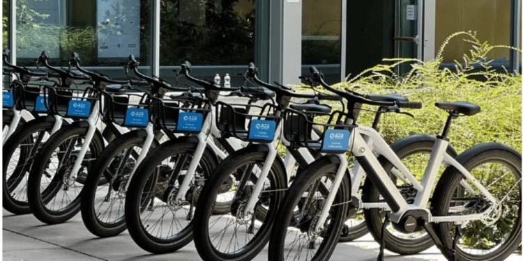 Flotta e-bike Unicorn Mobility (fonte:unicornmobility.com)