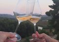 Un brindisi al tramonto (Un'istantanea da "Autunno in cantina" 2026)