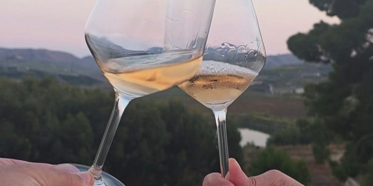 Un brindisi al tramonto (Un'istantanea da "Autunno in cantina" 2026)