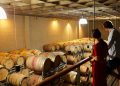Wine business, cantine a caccia di talenti