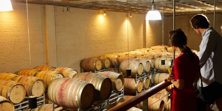 Wine business, cantine a caccia di talenti